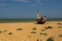 Waiting ~ Dungeness (20)