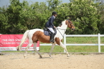 SBM_011550