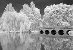 Five Arches Kent