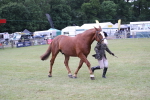 SBM_11276
