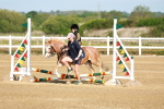 SBM_006217