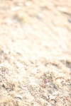 SBM_005122