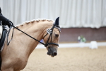 SBM_001708