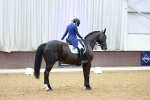 SBM_007913