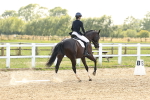 SBM_001891