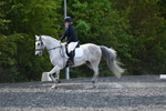 WJ5_9575
