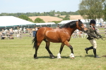 SBM_06977