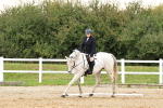 SBM_000230