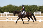 SBM_002806