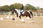 SBM_004606