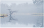 Calm Early Morning near Boyle, Co Roscommon