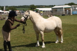 SBM_06968