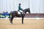 SBM_008385
