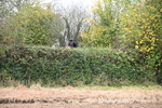 WJ6_7563