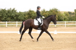 SBM_000735