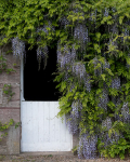 Dabton Gardens portfolio