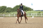 SBM_000883