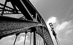 Newcastle Curves