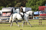 SBM_12885