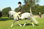 SBM_59890