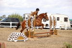 SBM_02901