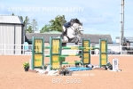 BPP_6593