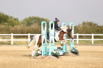 SBM_001047