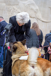 2024 Animals in War Remembrance Gathering portfolio