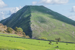 Ilam-1139