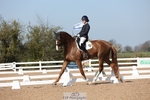 Cls 24 BD Young Horse Prelim 7 YO portfolio