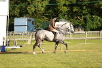 SBM_20430