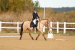 SBM_008735