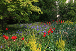 MAY 2015-9