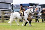 SBM_08189