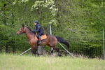 WJ6_1682