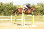 SBM_010988