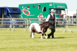 SBM_01952