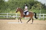 SBM_009977