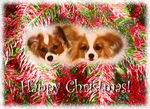 X7  Two cute babies