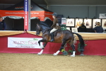 SBM_06081