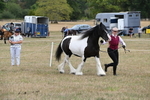 WJ6_5362
