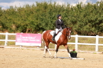 SBM_011852
