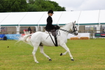 SBM_02966