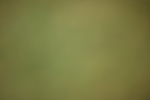 SBM_020253