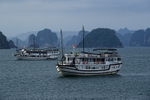 Tourist boats anchored in Ha Long Bay at sunset