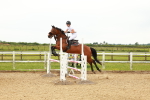 SBM_001960