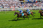 120725-Race 3-Fox Legacy-5697