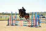 SBM_000689