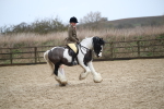 SBM_007971