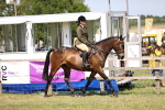 SBM_17979